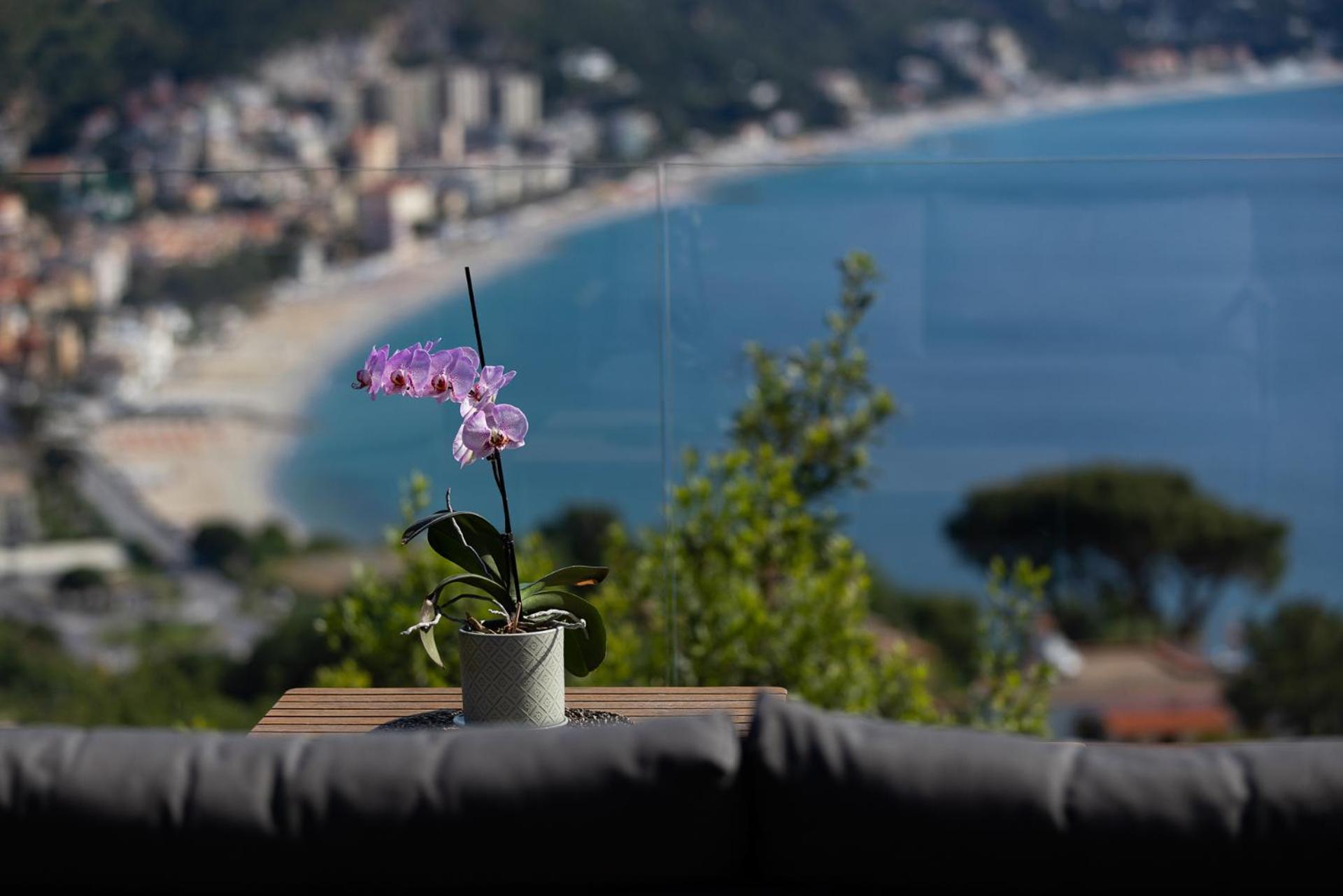 Spettacolare Vista Isola Terrazza E Idromassaggio Villa Noli Eksteriør billede